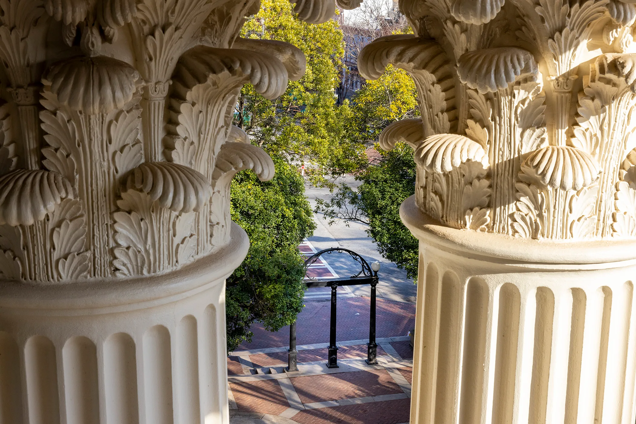 Fresh Faces and Leadership Unveiled at UGA Foundation