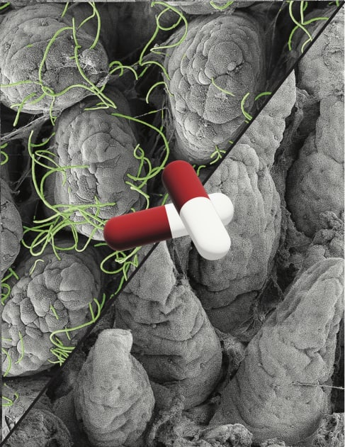 Exploring the Impact of Non-Antibiotic Medications on Our Microbiome