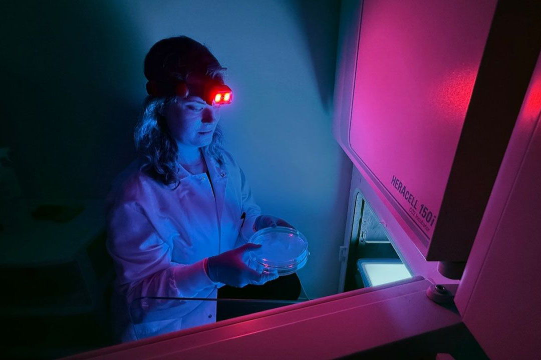 Transforming Disease Management by Unraveling Ribosomal Mysteries