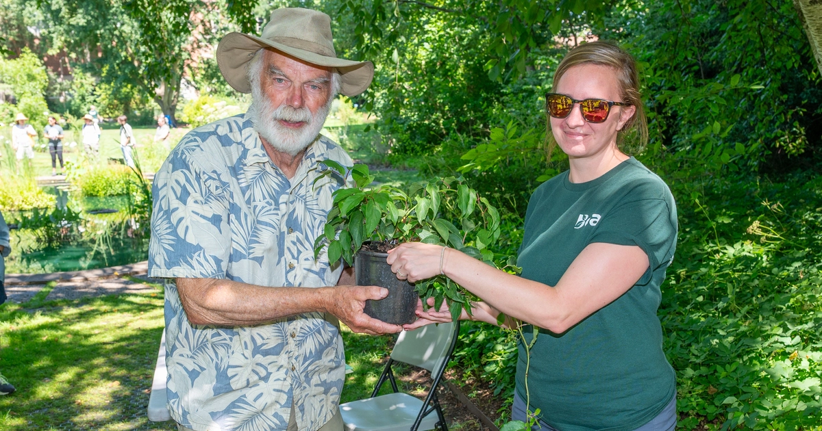 Michigan state kiwi finds home beal botanical garden