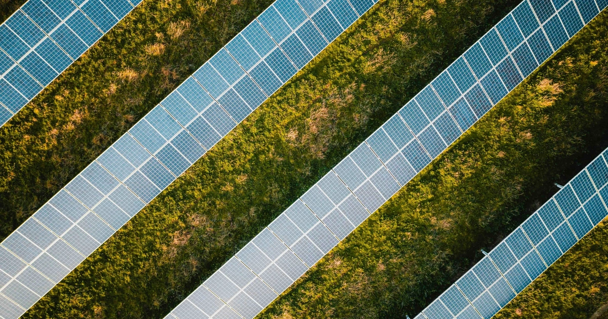 Expert solar panels helping farmers