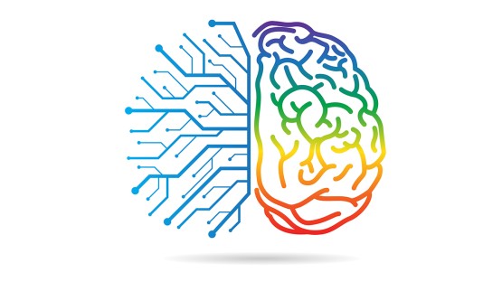 How Everyday Behaviors Influence Visual Processing in Right-Handed and Left-Handed Individuals