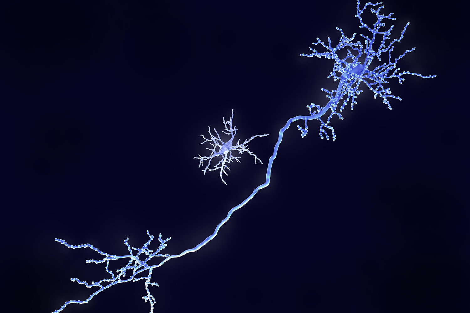 Transforming Immune Cells in the Brain: A New Path to Combat Neurodegeneration in Mice