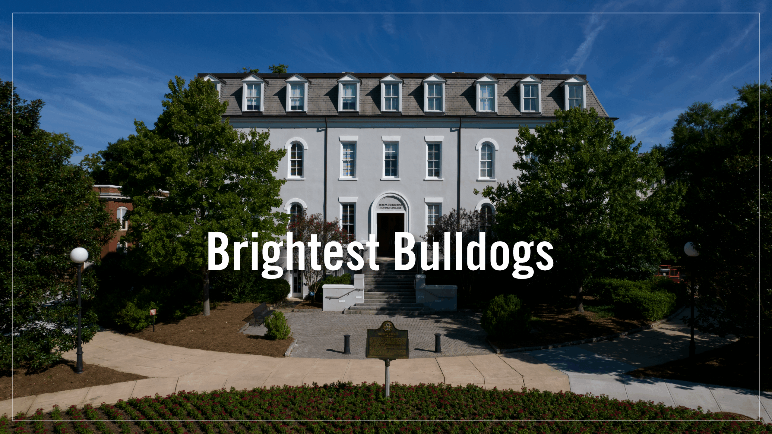 Radiant Bulldogs