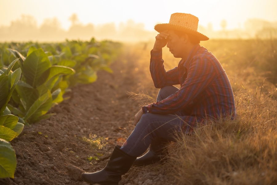 Safeguarding Your Body and Mind Against Extreme Heat in Georgia’s Agriculture