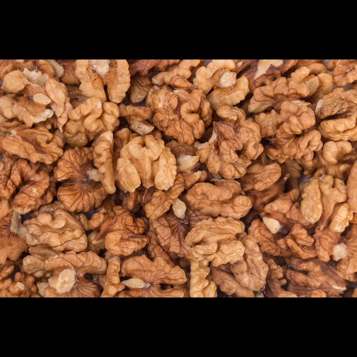 Unlocking the Secrets of Growing Black Walnut Trees
