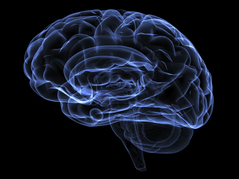 Gene Mutation Disrupts Expression Linked to ALS and Dementia