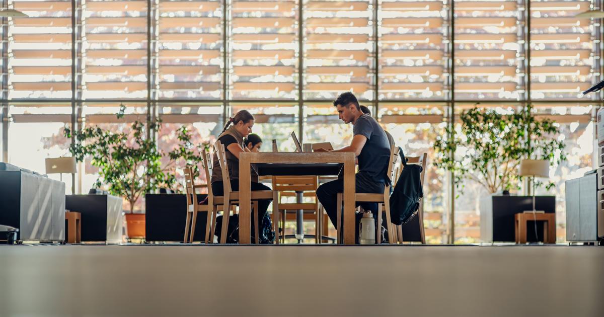 YSE Unveils Year-Long Executive Degree Programs for Seasoned Professionals