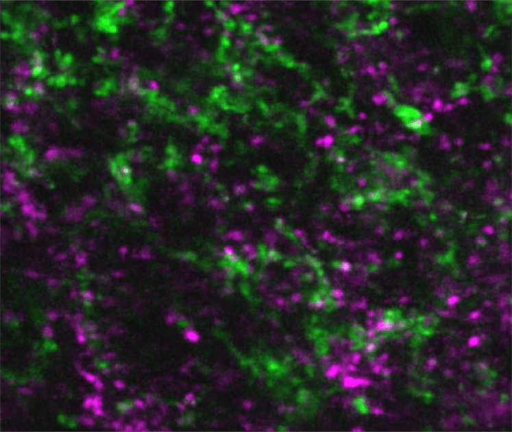 “The Thalamus: Evolving from Train Station to Command Hub”