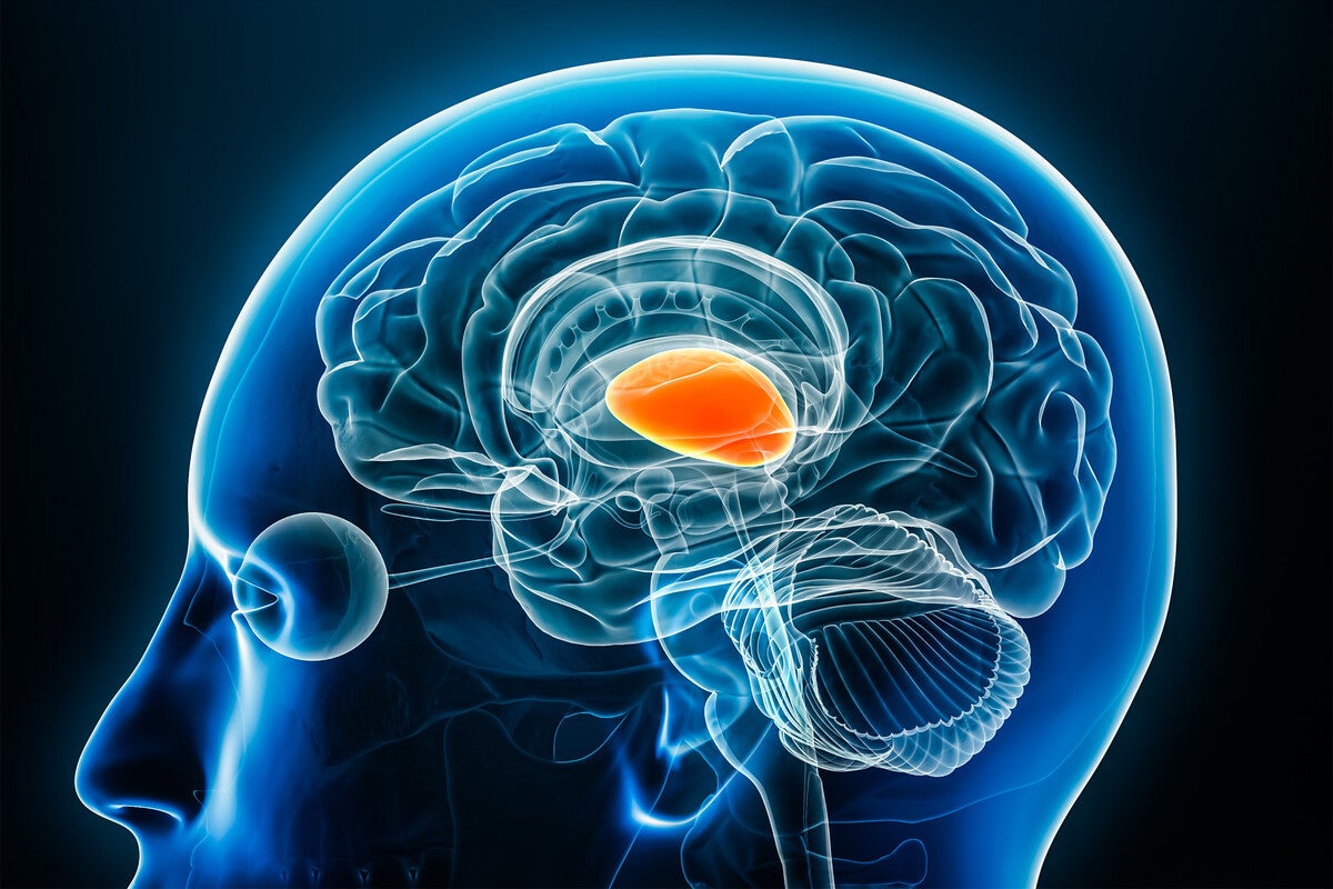 Jiangbing Zhou Appointed Nixdorff-German Professor of Neurosurgery