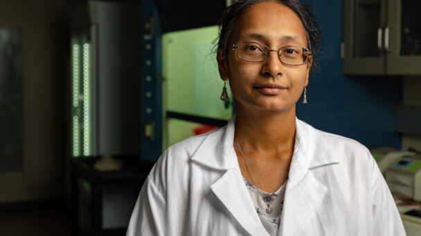 Texas A&M Researchers Uncover the Overlooked Connection Between Diabetes, Obesity, and Bone Healing