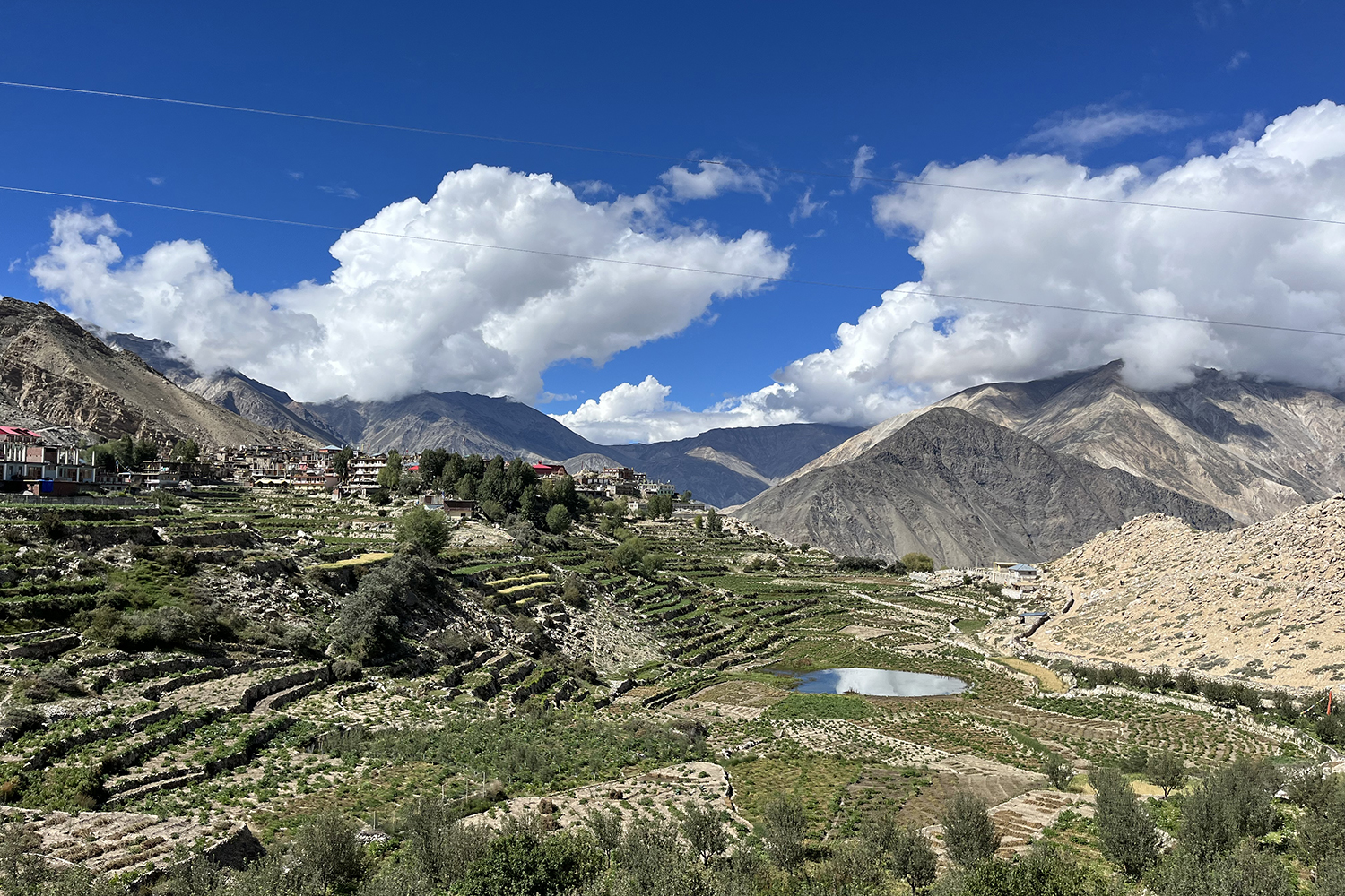 Unveiling the Ecological Potential of the Himalayan Black Pea
