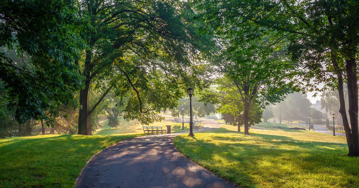 Spring’s Arrival in NYC Parks: How Urban Heat is Slowing the Season Down