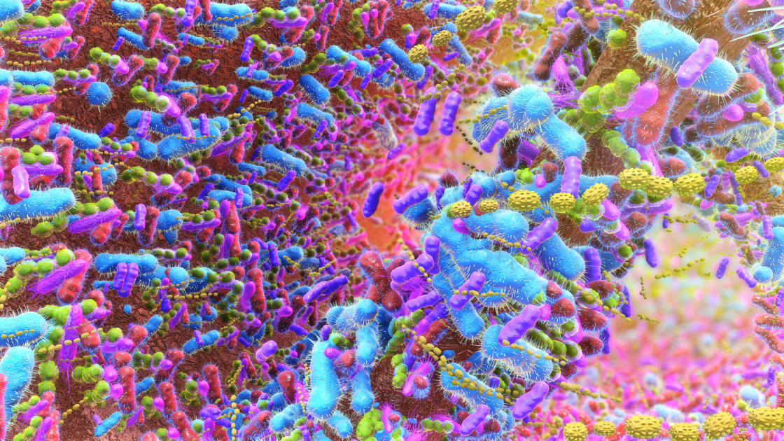 HIV’s Secret Hideout: T Cells and the Gut
