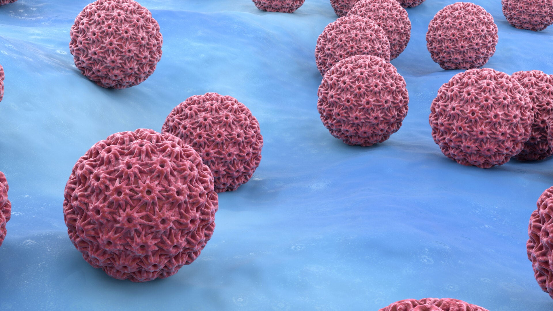 New Insights into HPV’s Modulation of Immune Cells in Cancer Development