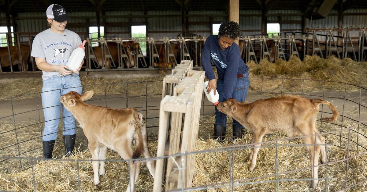 UK students gain real-world insight into dairy industry