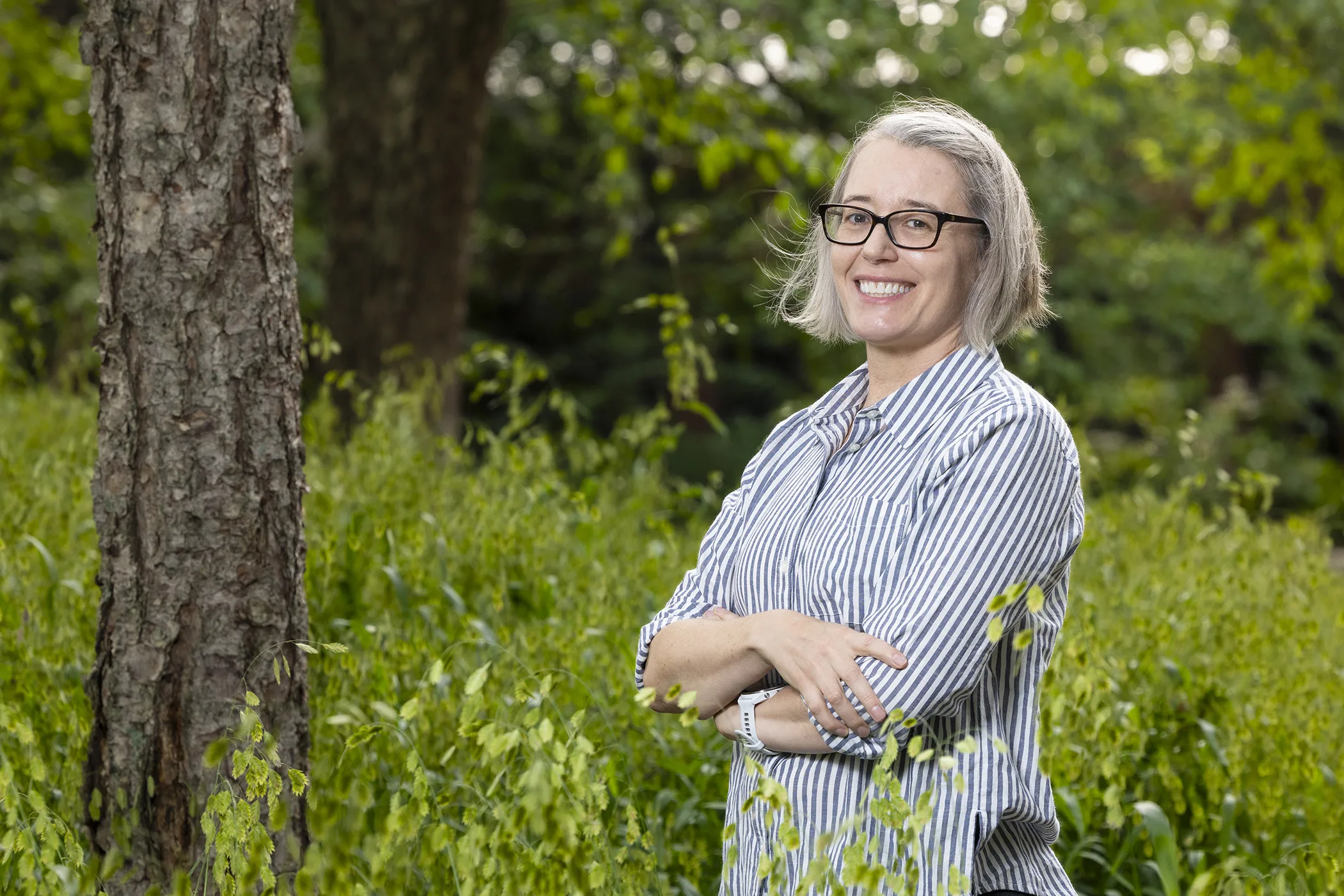 Unraveling the Mysteries of Forest Transformation: Insights from an Ecology Expert