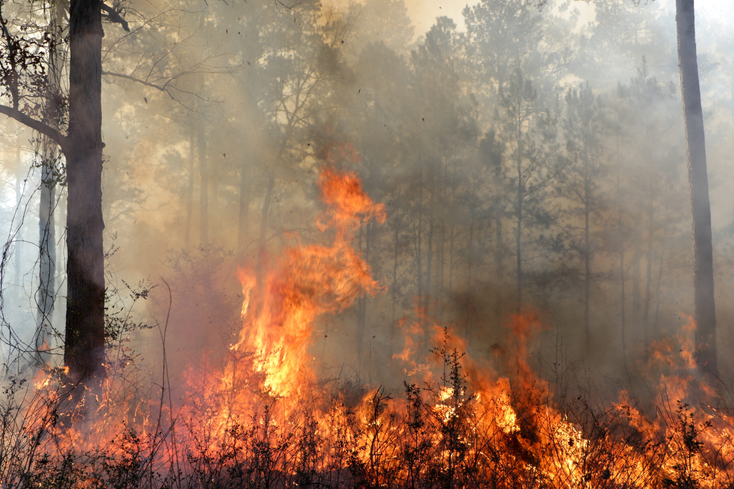 Cultivating Trust and Ensuring Lasting Impact: The Nonprofit Role in Post-Disaster Recovery
