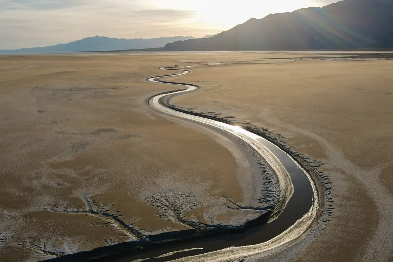 How Vegetation Transformation is Changing River Dynamics: A New Study Unveiled