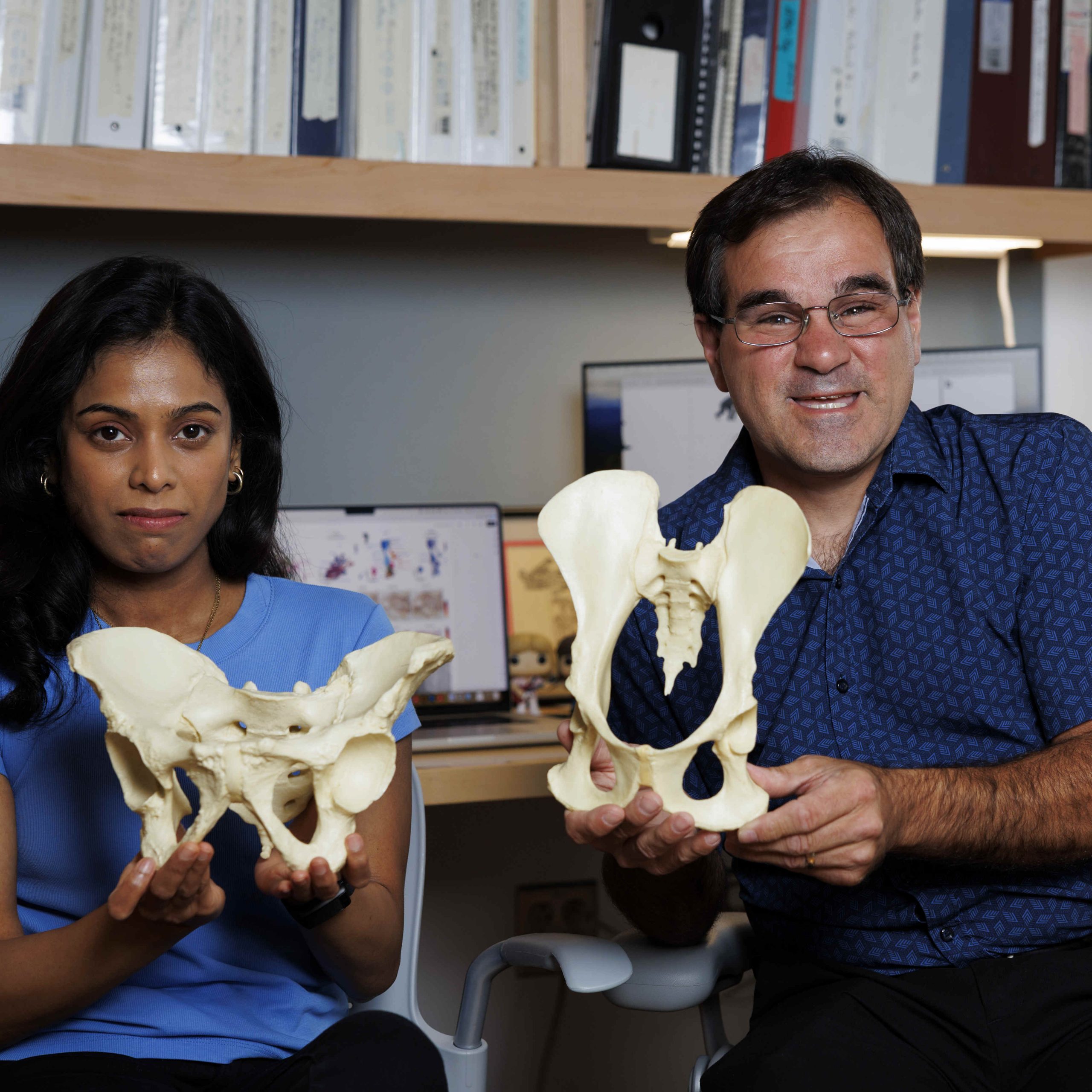 Unraveling the Evolutionary Puzzle of Human Bipedalism