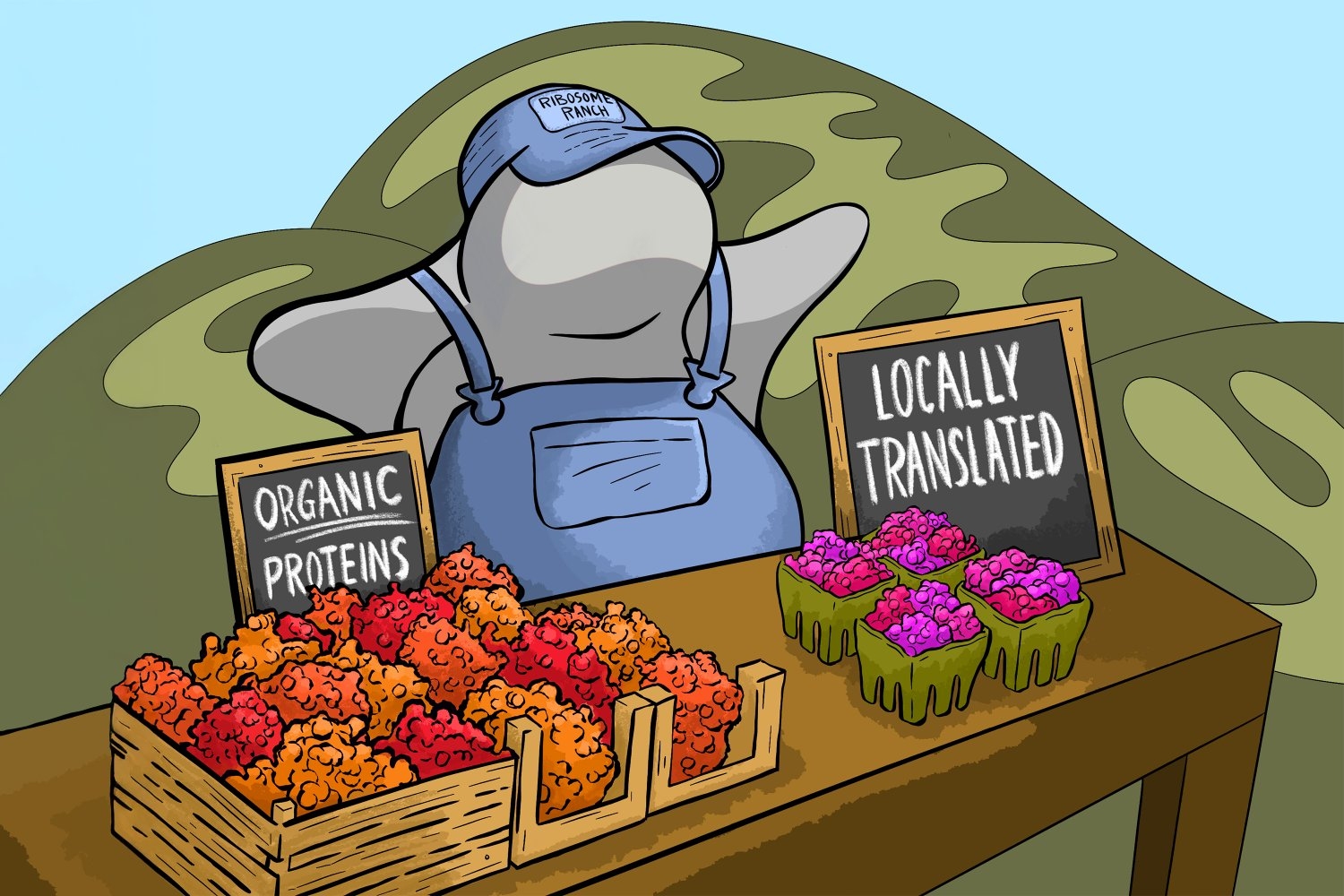Homegrown Proteins Boost Mitochondrial Performance