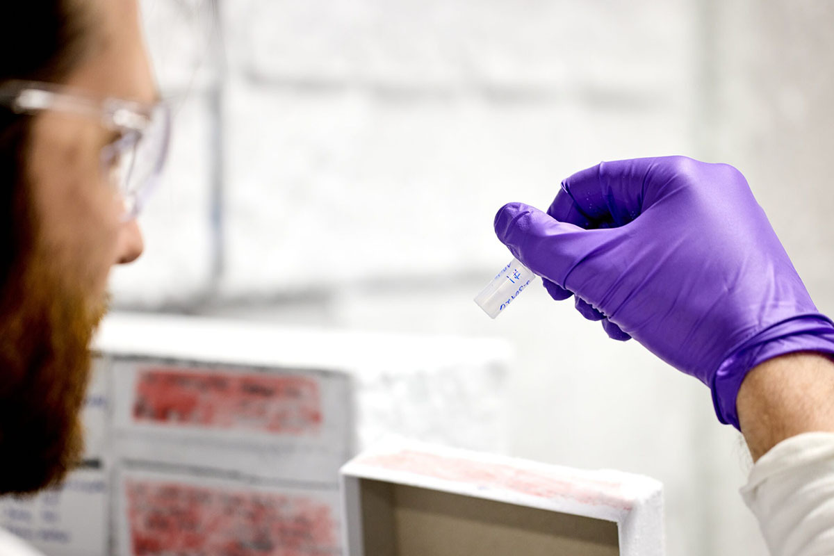 WashU Medicine Chosen for Prestigious Parkinson’s Disease Training Initiative