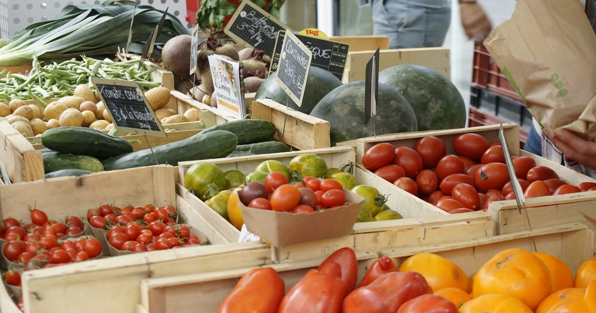 MSU launches new series exploring the intersection of food, economics and policy