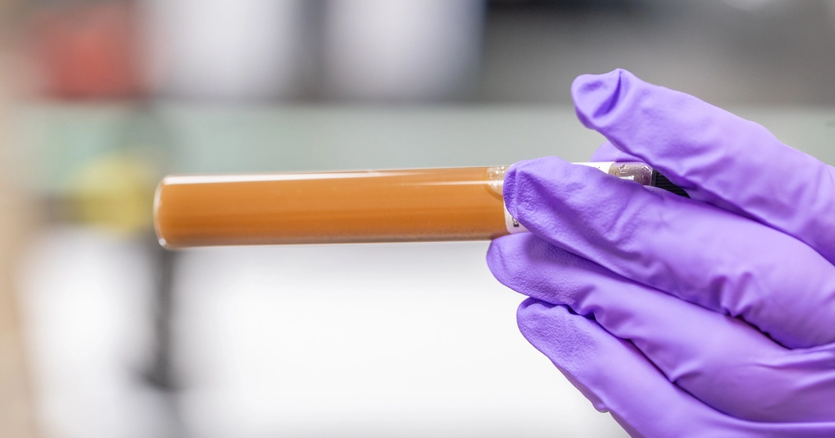 Faster methods for detecting viruses in food, water 
