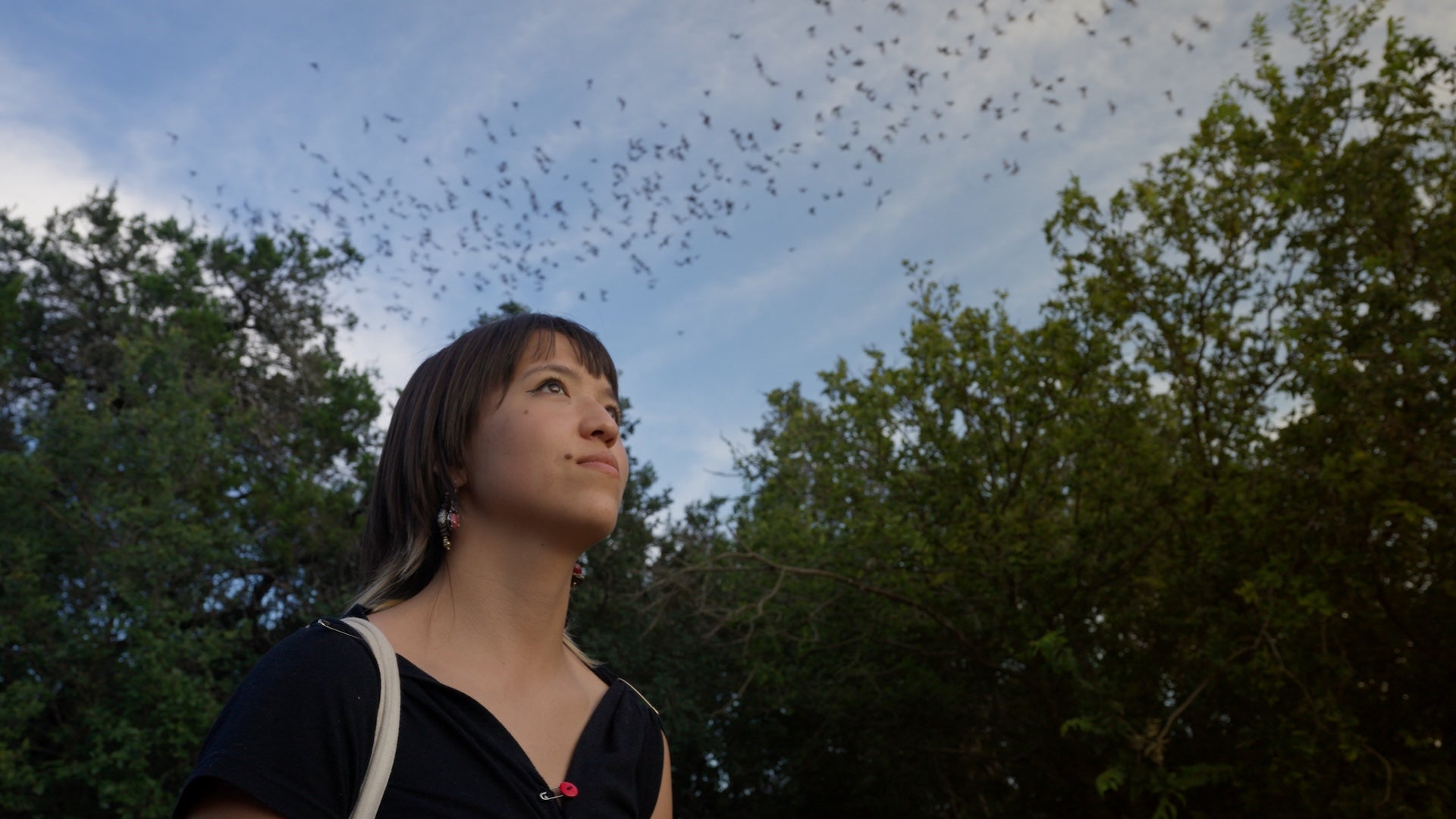 lili-xiong-goes-home-to-texas