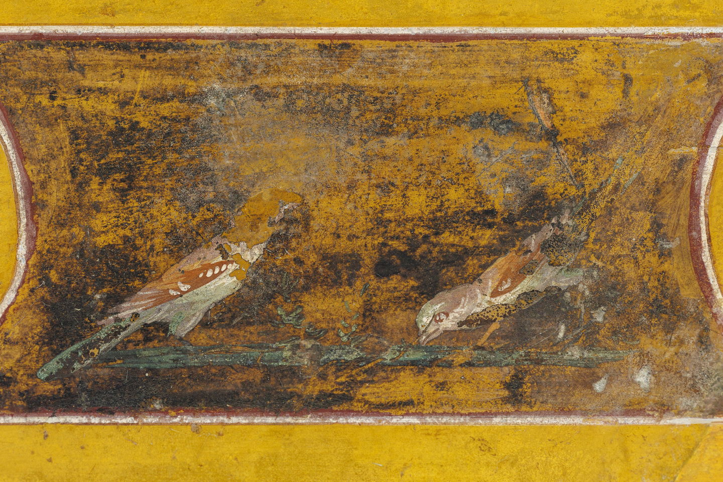 A detailed view of a Wall Painting Fragment from the Villa at Boscotrecase, 10 BCE-1 BCE. Two small birds are beside water. The paint shows wear but the colors remain vibrant.