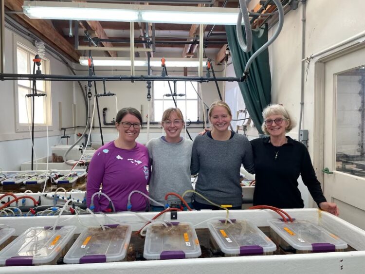 four individuals in a laboratory smiling. Tanks with sea stars are positioned in front of them.