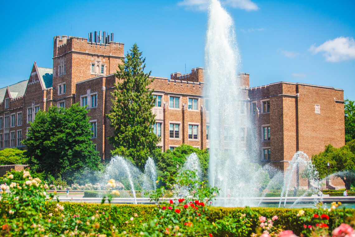 Campus structures featuring a fountain and blossoms in the foreground