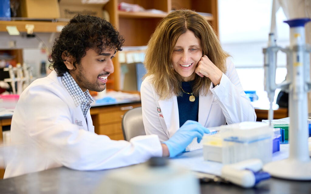 In her lab at the McDonnell Pediatric Research Building, Jennifer Philips, MD, PhD (right), co-director of WashU Medicine’s Division of Infectious Diseases, collaborates with Sharvath Kathi, a graduate student in the Division of Biology & Biomedical Sciences. (Matt Miller/WashU Medicine)