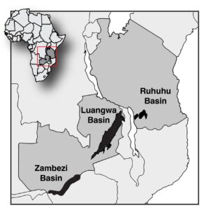 New Fossil Discoveries in Africa Illuminate Preceding Era of Earth’s Great Mass Extinction