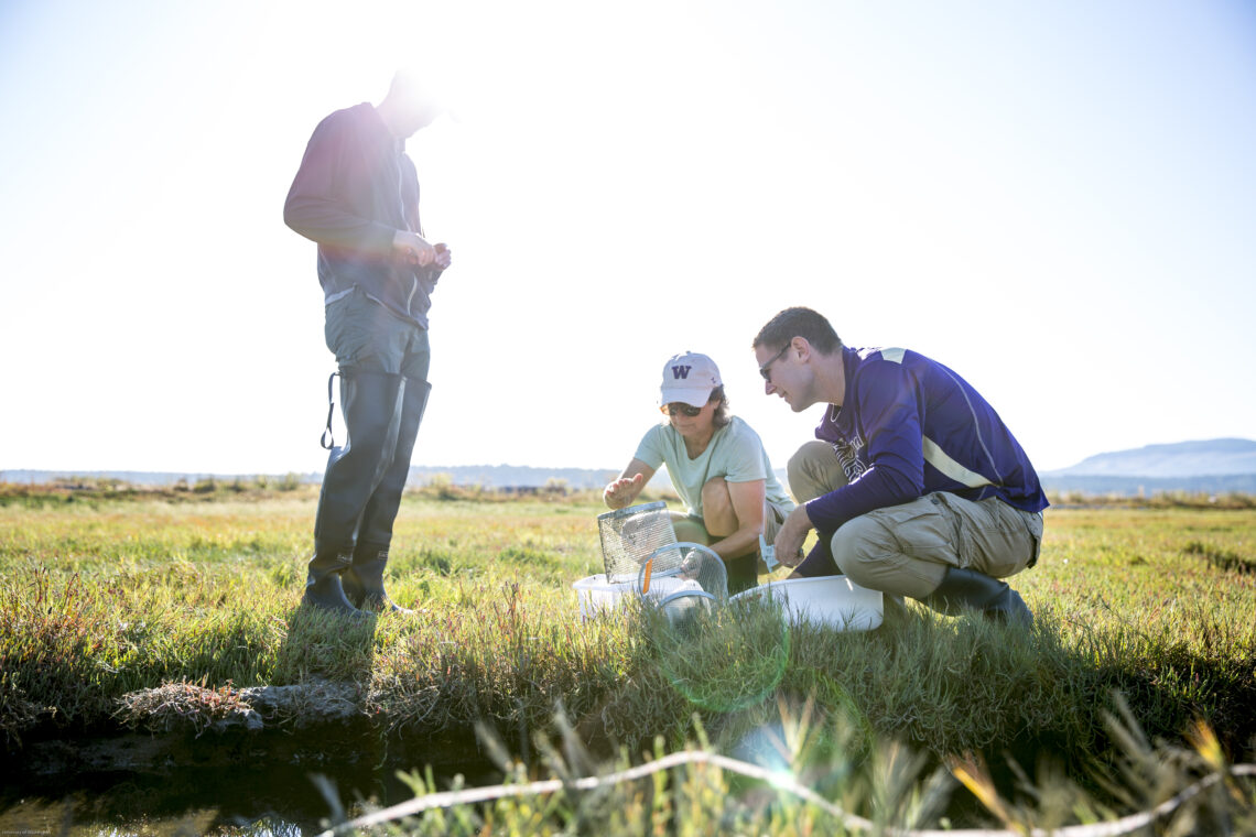 three researchers gathering specimens in a marsh