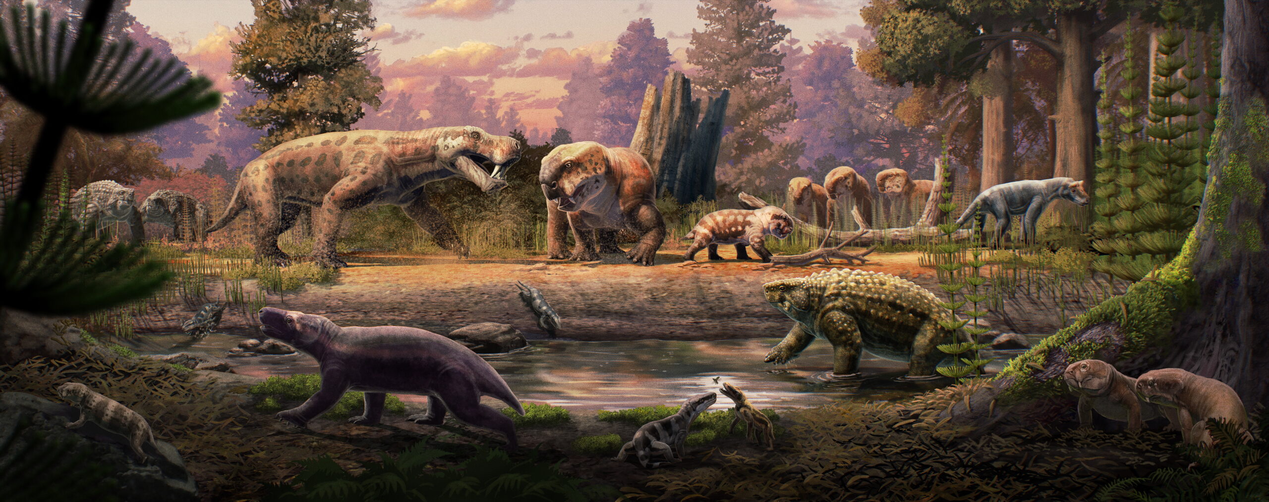 New Fossil Discoveries in Africa Illuminate Preceding Era of Earth’s Great Mass Extinction