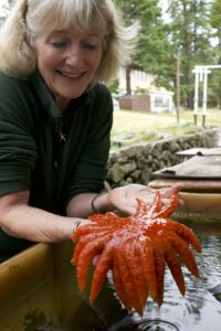a person holding a sea star