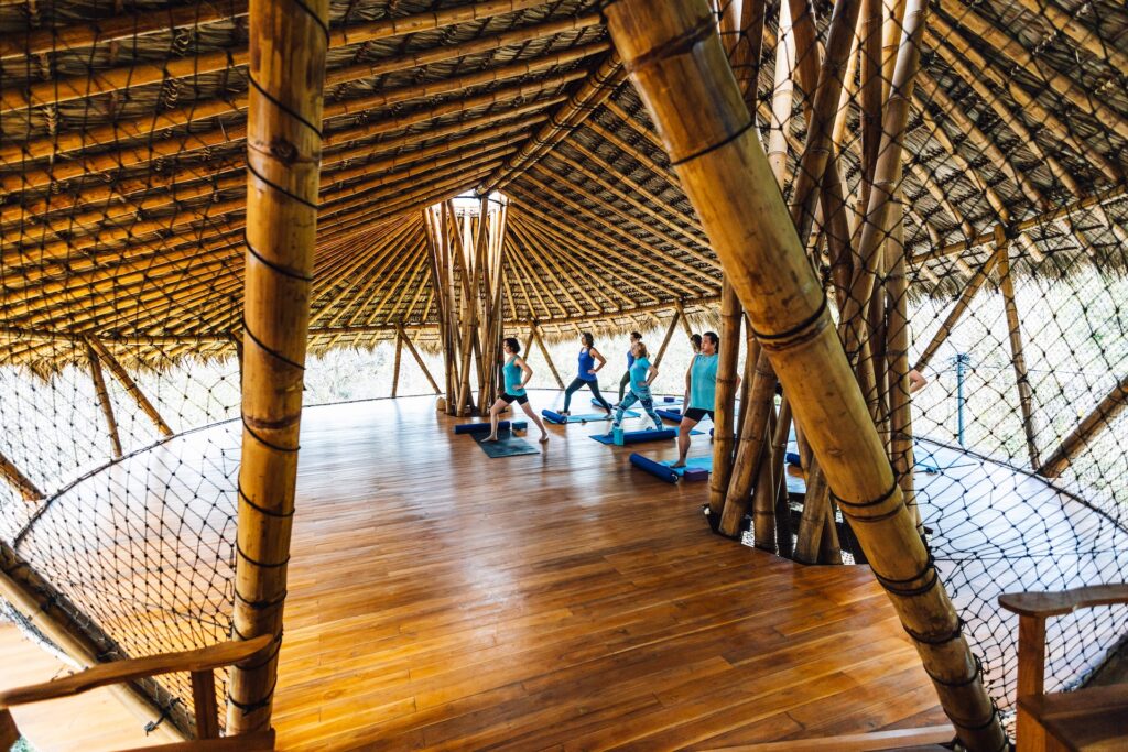 A Sanctuary to Unwind