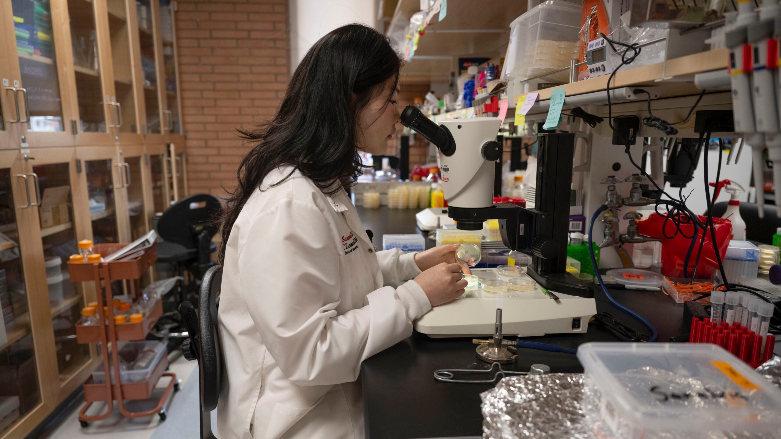 USC undergraduate research: Tiffany Wang