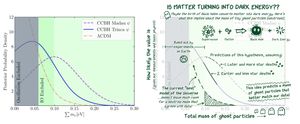 A scientific graph on the left demonstrates the posterior probability density along its y-axis and the sum of neutrino masses along the x-axis. Three distinct curves represent different frameworks, one labeled lambda CDM, another CCBH Madau, and the third CCBH Trinca. On the right, the same graph is presented with handwritten annotations and illustrations, clarifying the significance of essential graph features. The y-axis depicts the probability of a value based on measurements and fundamental physics. The x-axis indicates the total mass of ghost particles, a nickname for neutrinos. The graph is titled 'Is matter transforming into dark energy?' with a subtitle 'perhaps the birth of black holes transforms matter into dark energy. Here’s what this suggests about the mass of these tiny ghost particles (neutrinos).' A cartoon at the top of the graph illustrates this concept with an equation showing supernovae plus matter yields black holes and dark energy. The underlying graph features three curves: One steeply rises as it approaches zero, while two others spread out with gentler peaks at values approximately 0.05 and 0.10 on the x-axis. Much of the first curve resides in a region labeled 'Ruled out by experiments on Earth.' A note at its tail mentions, 'The current