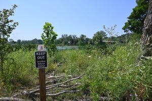 Revitalizing Great Lakes Ecosystems and Economies: A Community-Driven Approach