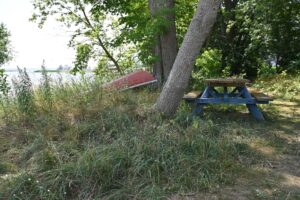 Revitalizing Great Lakes Ecosystems and Economies: A Community-Driven Approach