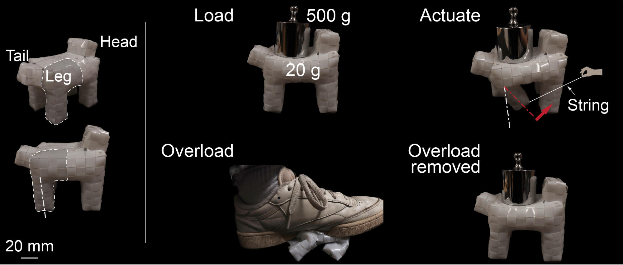 A woven structure with four legs, a tail, and a head. Top right: The 20-gram woven structure supports a 500-gram weight. A string flexes the legs while maintaining the weight. Bottom right: An overloaded shoe crushes the structure nearly flat. Once the shoe is removed, the structure returns to the dog shape and holds the 500-gram weight again.