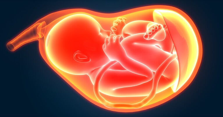 ‘serotonin-shield’:-the-placenta’s-critical-role-in-the-health-of-babies