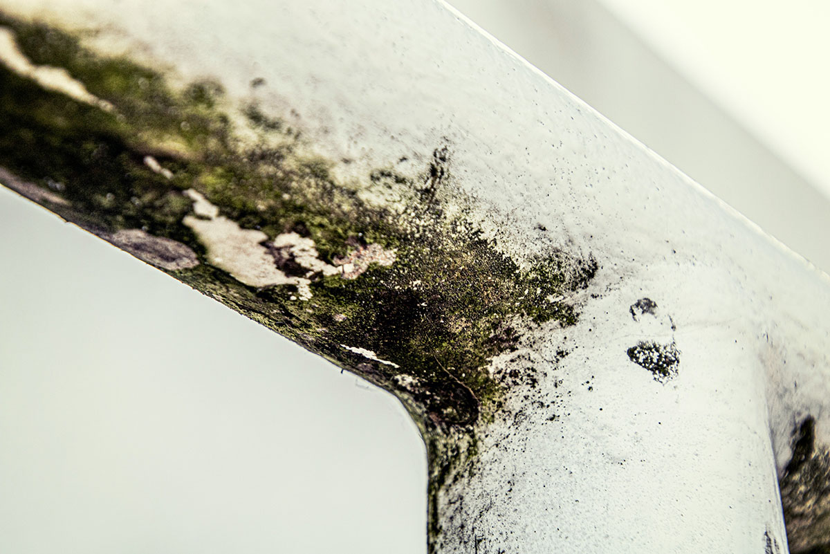 link-between-surfaces-in-buildings,-indoor-air-quality-under-spotlight
