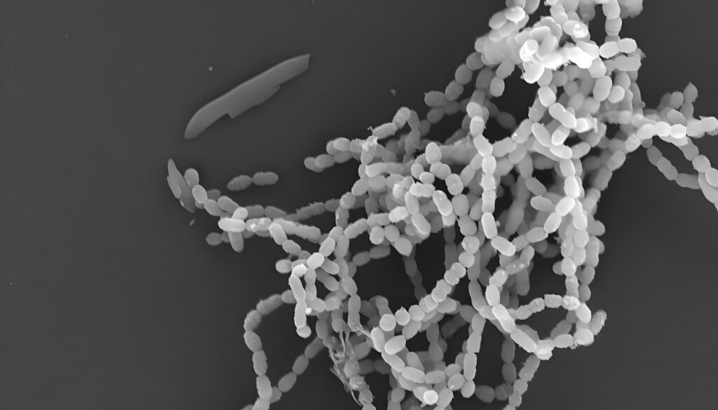 can-the-‘good’-bacteria-in-your-mouth-act-as-probiotic-cavity-fighters?