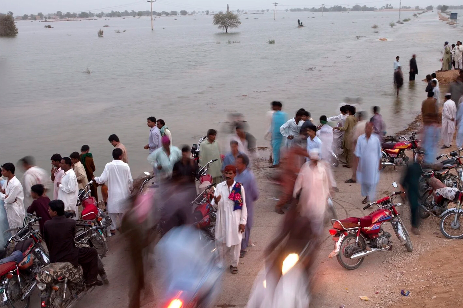 extreme-weather-pushes-some-groups-to-migrate-and-traps-others-in-place