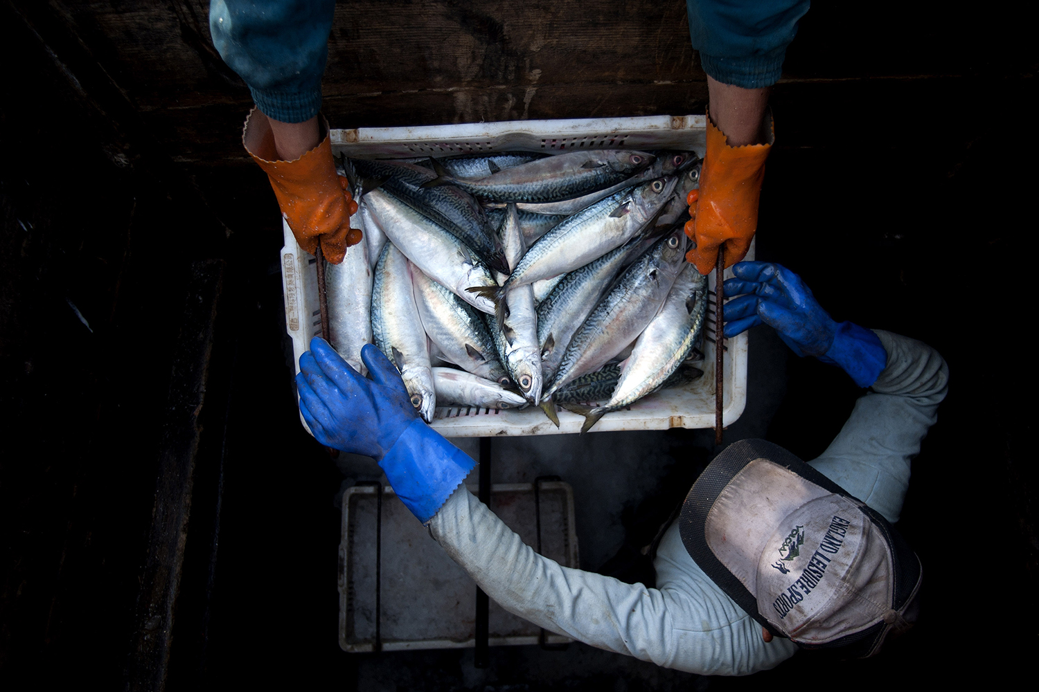 more-scrutiny-of-domestic-fleets-could-help-deter-illegal-fishing
