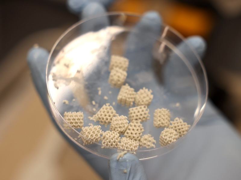 Thayer Team Awarded $2.5 Million Grant from NIH