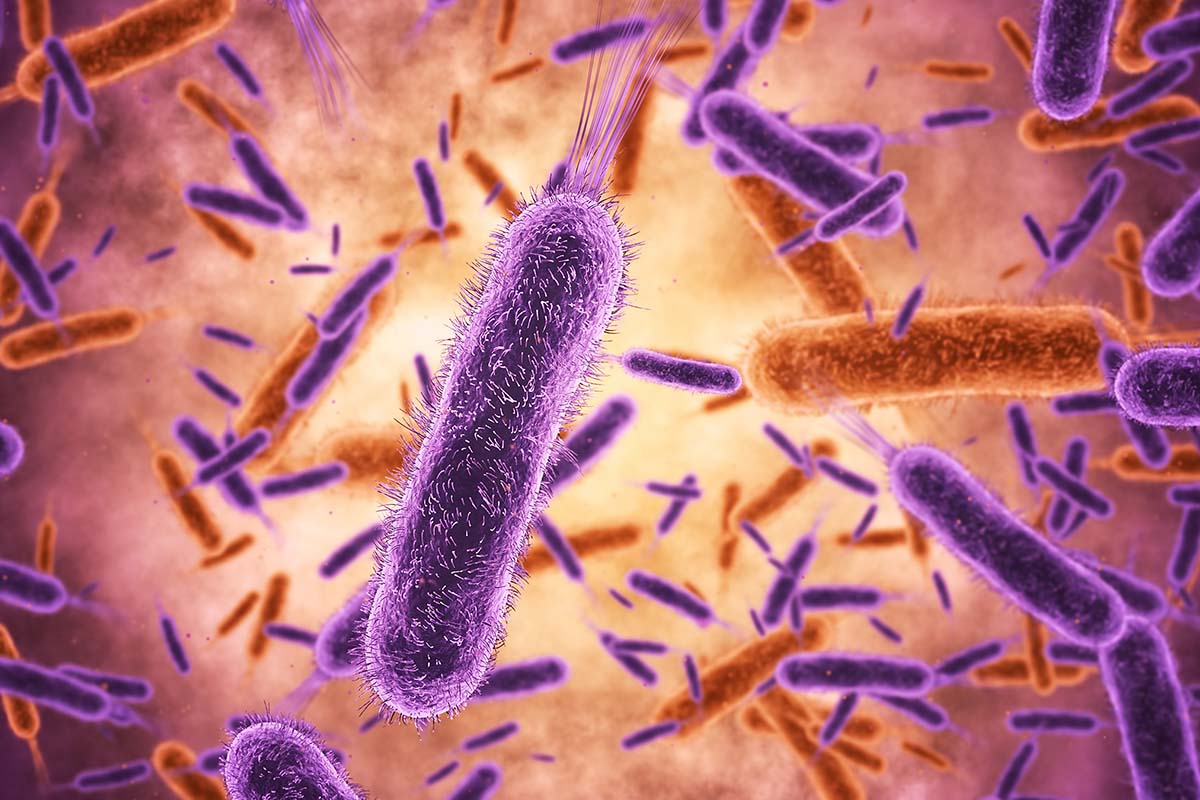 “Unraveling the Link: How Unstable Microbiomes Impact Children’s Growth”